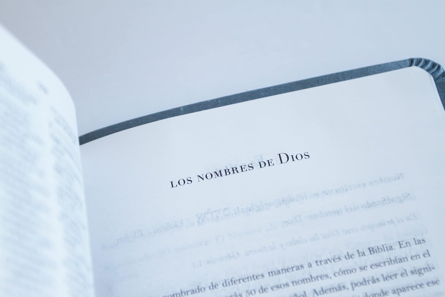Biblia RVR1960 – Los Nombres De Dios – Letra Grande – Gris - Image 3