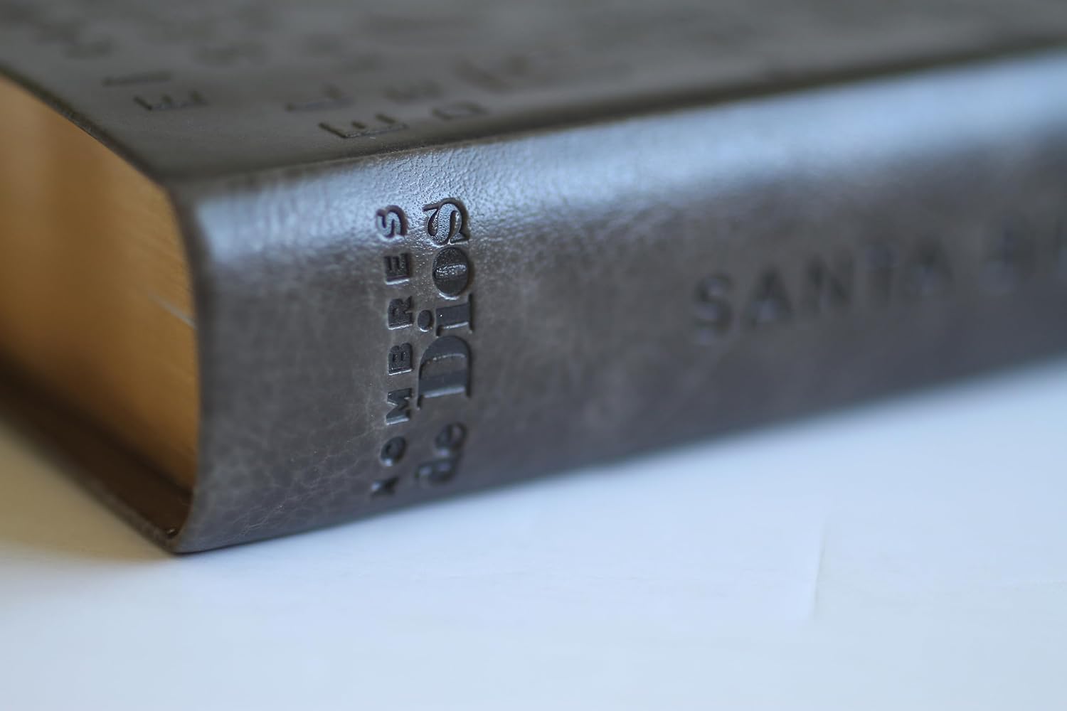 Biblia RVR1960 – Los Nombres De Dios – Letra Grande – Gris - Image 5