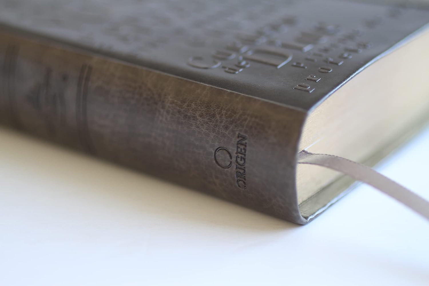 Biblia RVR1960 – Los Nombres De Dios – Letra Grande – Gris - Image 4