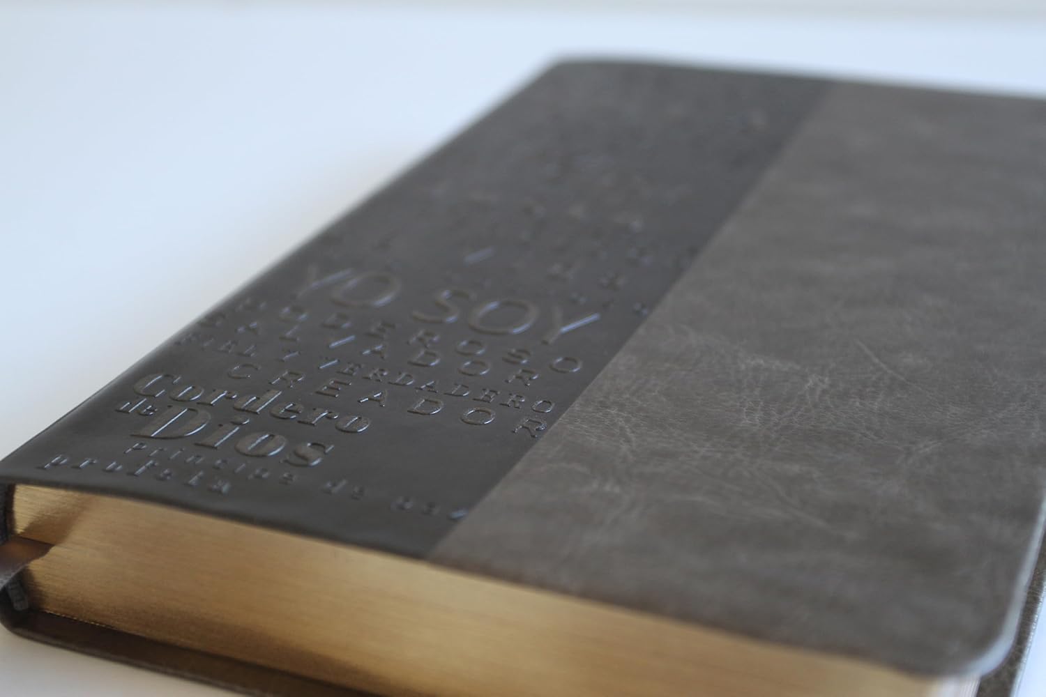 Biblia RVR1960 – Los Nombres De Dios – Letra Grande – Gris - Image 6