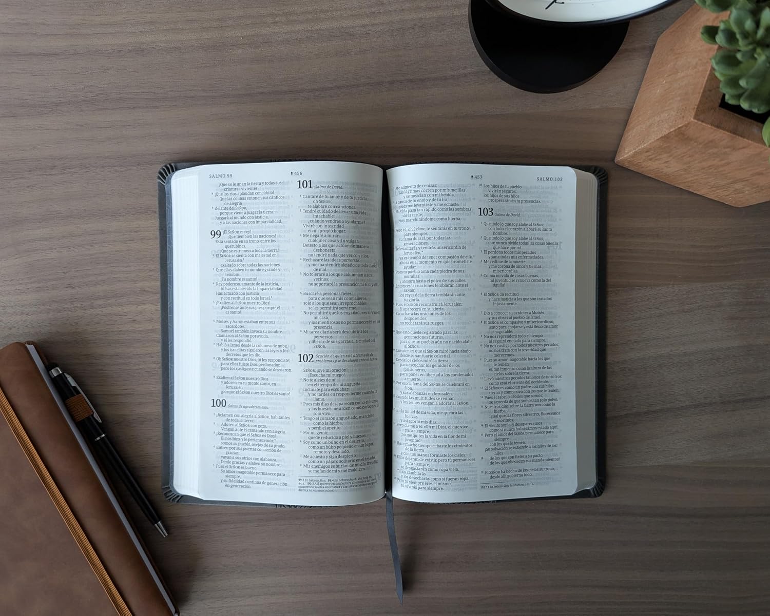 Biblia NTV con Filament – Gris - Image 5