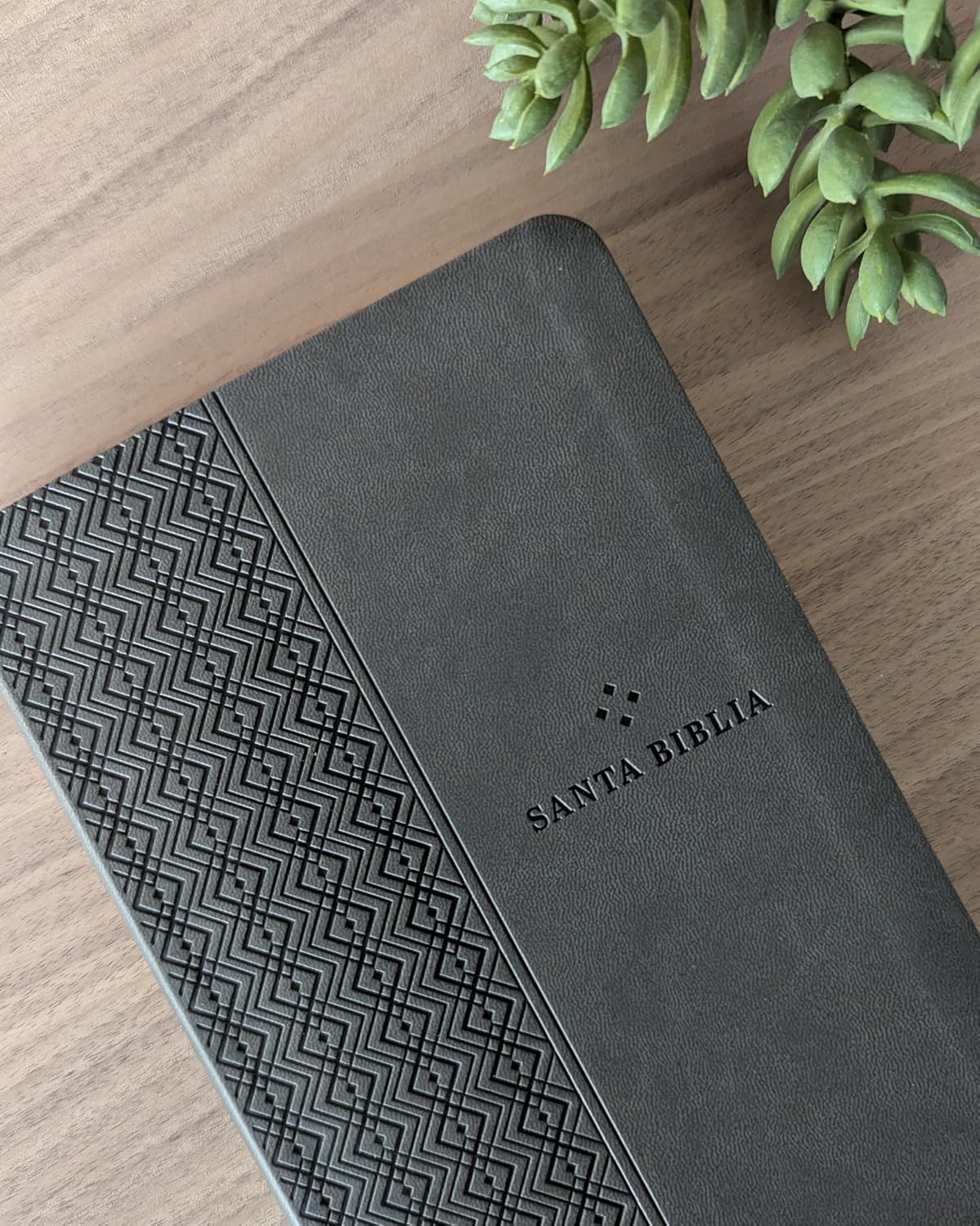 Biblia NTV con Filament – Gris - Image 4