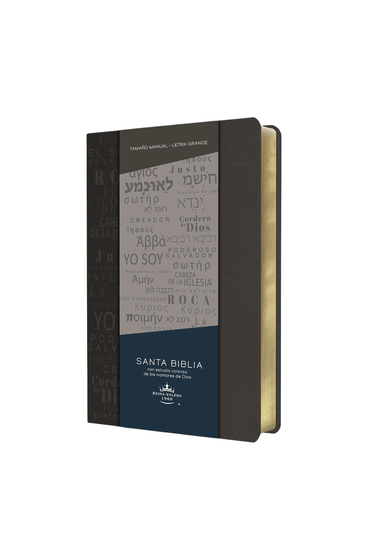 Biblia RVR1960 – Los Nombres De Dios – Letra Grande – Gris