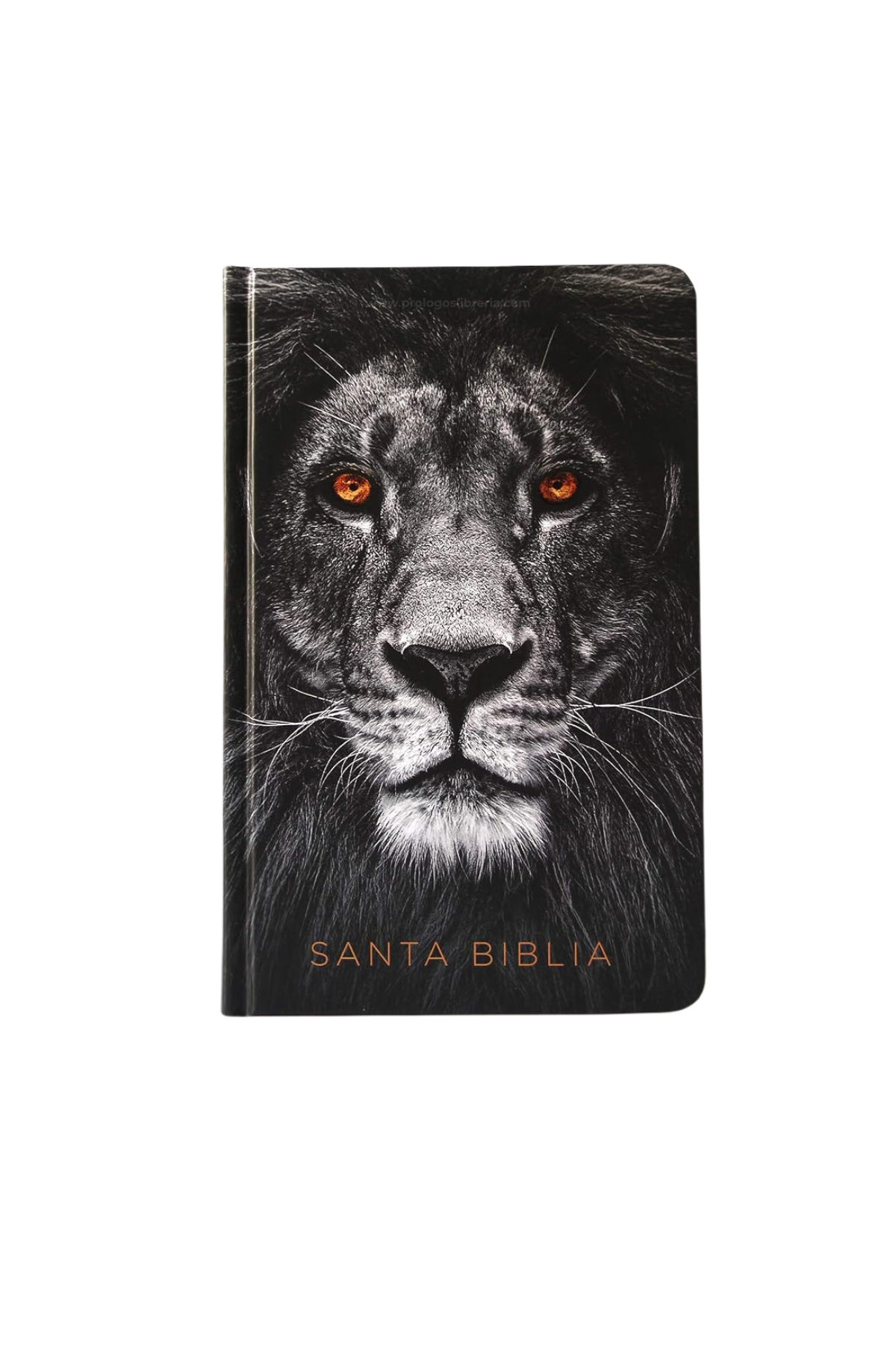 Biblia RVR1960 – León de Judá - Tapa Dura - Letra Grande