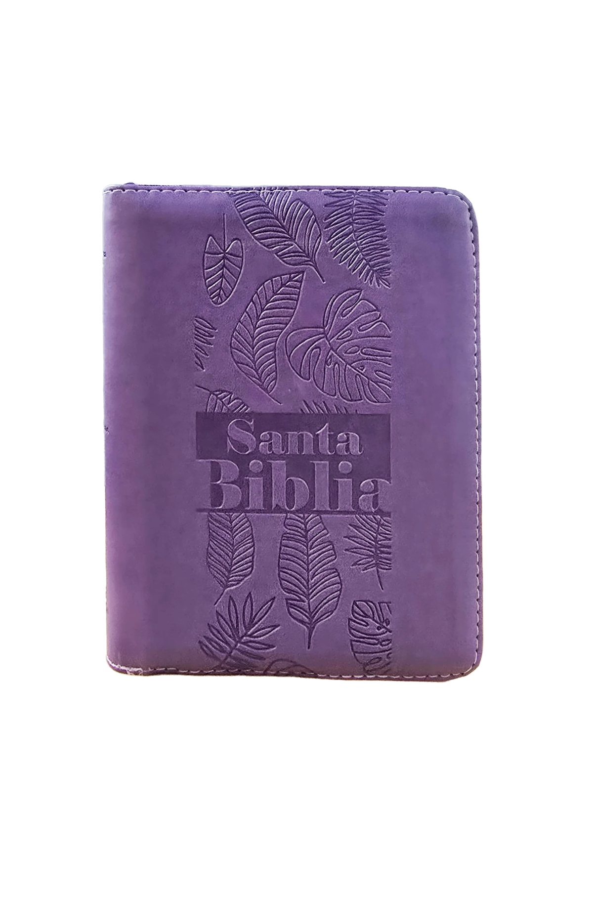 Biblia RVR1960 – Tamaño Manual – Letra Grande –Morado